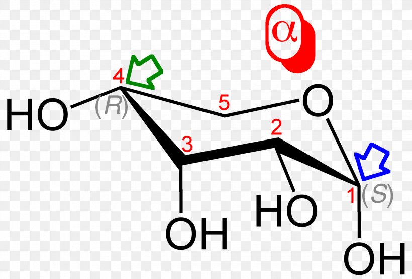Glycosidic Bond 糖 Alpha-synuclein Carbohydrate Amino Acid, PNG, 2244x1522px, Glycosidic Bond, Acetal, Alphasynuclein, Amino Acid, Area Download Free