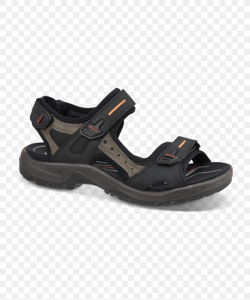 Sandal Amazon.com Shoe ECCO Shorts, PNG, 1000x1200px, Sandal, Amazoncom, Boot, Combat Boot, Cross Training Shoe Download Free