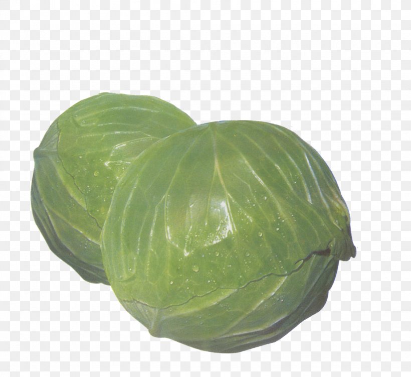 Cabbage Vegetable, PNG, 1131x1037px, Cabbage, Auglis, Chinese Cabbage, Fruit, Green Download Free