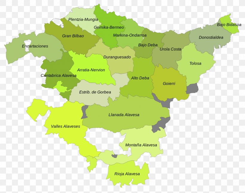 Comarcas Of The Basque Country Gipuzkoa World Map, PNG, 1462x1150px, Gipuzkoa, Area, Basque, Basque Country, Basques Download Free