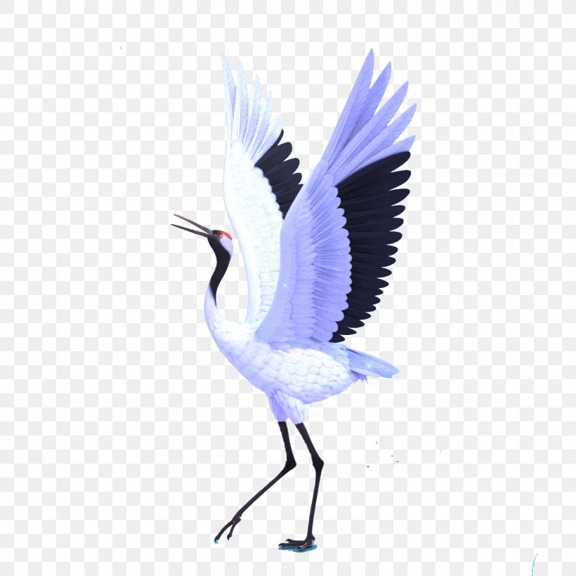 Crane Bird Wing Flight, PNG, 1200x1200px, Crane, Animal, Beak, Bird, Crane Like Bird Download Free