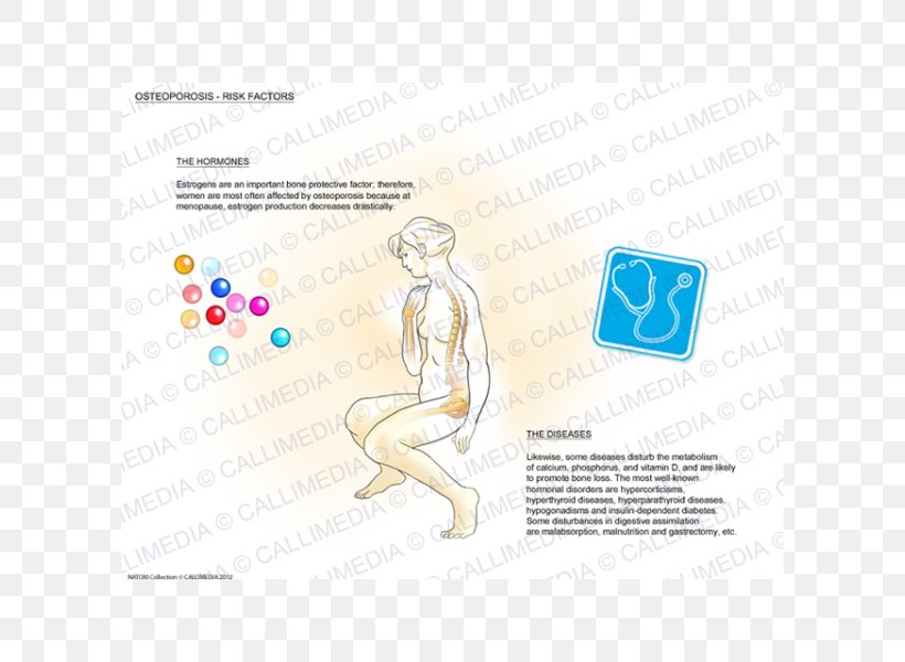 Homo Sapiens Human Behavior Logo Material, PNG, 600x600px, Watercolor, Cartoon, Flower, Frame, Heart Download Free