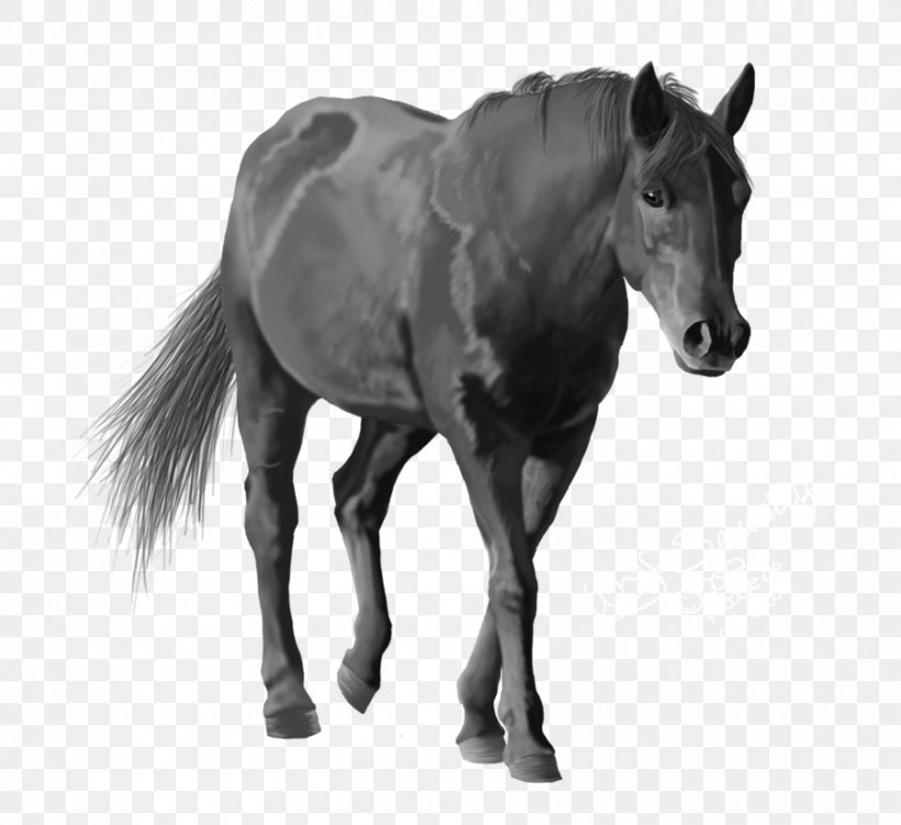 Mane Horse Halter Foal Stallion, PNG, 900x825px, Mane, Bit, Black And White, Bridle, Colt Download Free