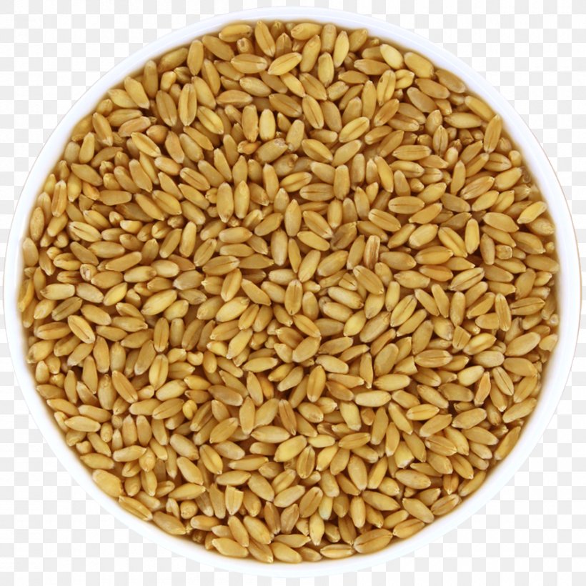 Oat Organic Food Whole Grain Cereal, PNG, 900x900px, Oat, Avena, Cereal, Cereal Germ, Commodity Download Free