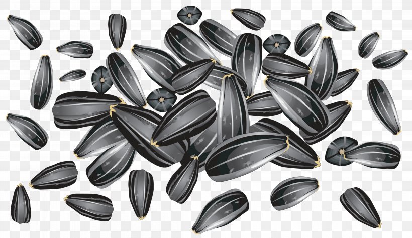 Sunflower Seed Clip Art, PNG, 4598x2663px, Sunflower Seed, Black And White, Common Sunflower, Drawing, Food Download Free