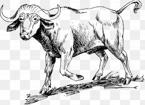 Painting - Water Buffalo Drawing Clip Art PNG