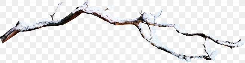 Branch Snow, PNG, 2925x753px, Branch, Creativity, Snow, Tree, Twig Download Free