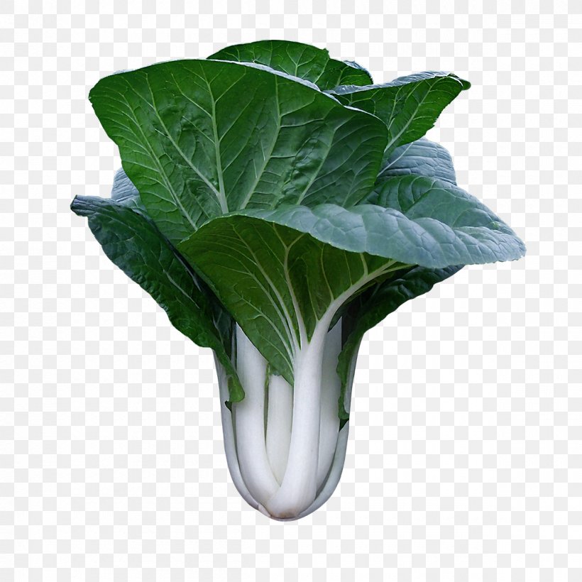 Chard Spring Greens Komatsuna Choy Sum Leaf Vegetable, PNG, 1200x1200px, Chard, Bok Choy, Cabbage, Choy Sum, Collard Greens Download Free