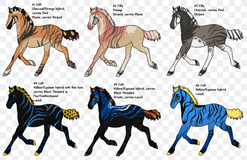 Mule Foal Stallion Mare Mustang, PNG, 1109x720px, Mule, Animal Figure, Carnivora, Carnivoran, Cartoon Download Free