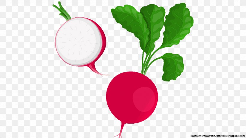 Radish Vegetable Food Beetroot Clip Art, PNG, 1280x720px, Radish, Beet, Beetroot, Diet Food, Food Download Free