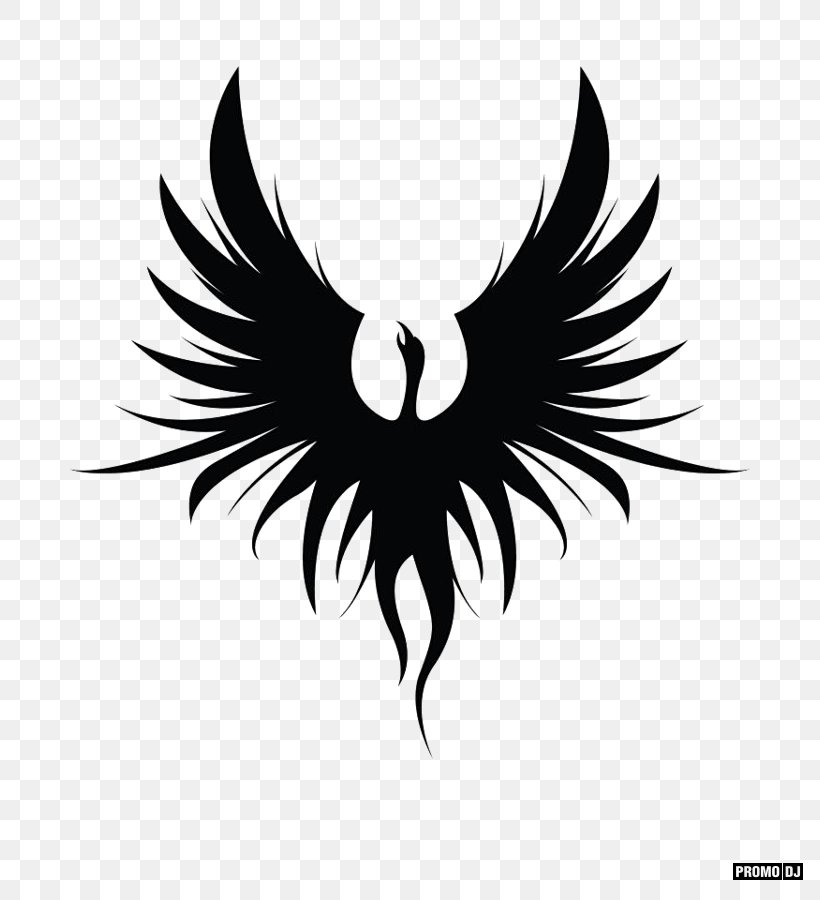 Bird Of Prey Logo Beak Desktop Wallpaper, PNG, 813x900px, Bird, Beak, Bird Of Prey, Black And White, Character Download Free