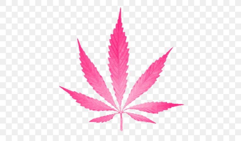 Cannabis Leaf Hemp Spots Clip Art, PNG, 480x480px, Cannabis, Cannabaceae, Cannabis Cultivation, Hemp, Leaf Download Free