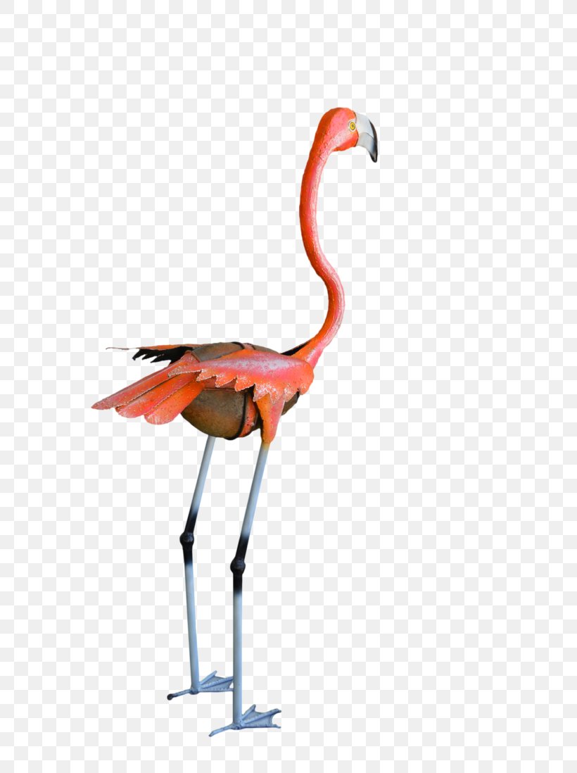 Flamingo Water Bird Crane Vertebrate, PNG, 727x1098px, Flamingo, Art, Beak, Bird, Crane Download Free