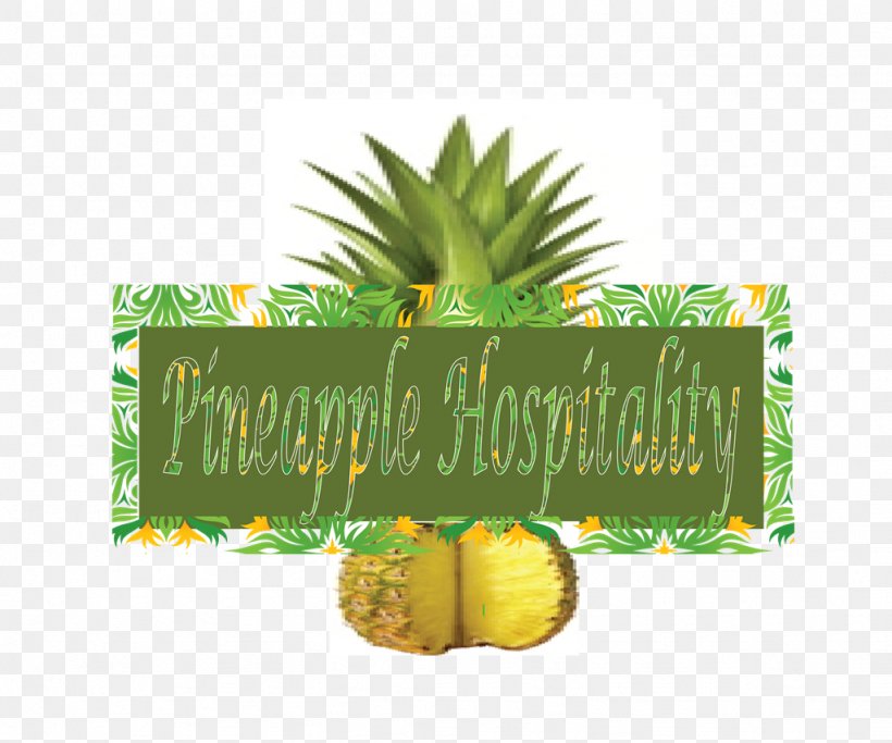 Pineapples, PNG, 1024x853px, Pineapple, Ananas, Bromeliaceae, Food, Fruit Download Free