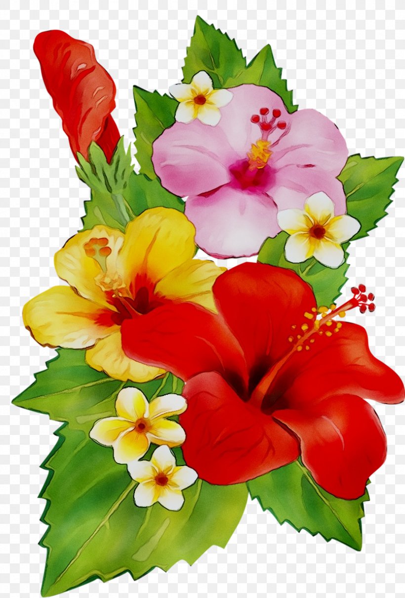 Rosemallows Cut Flowers Floral Design Flower Bouquet, PNG, 832x1228px, Rosemallows, Annual Plant, Anthurium, Artificial Flower, Bouquet Download Free