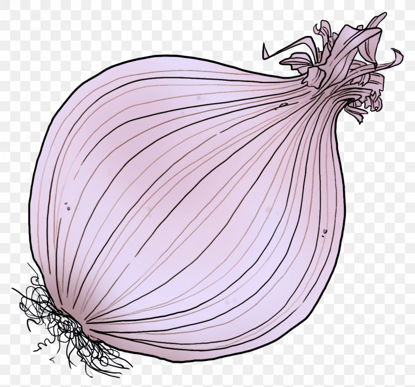 Shallot Onion Vegetable Red Onion Plant, PNG, 1190x1109px, Shallot, Allium, Elephant Garlic, Food, Onion Download Free