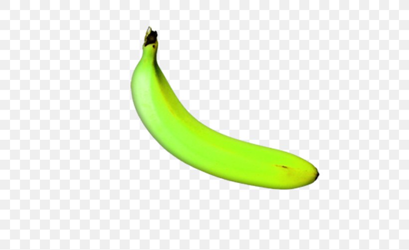 Banana Yellow, PNG, 528x501px, Banana, Banana Family, Food, Fruit, Yellow Download Free