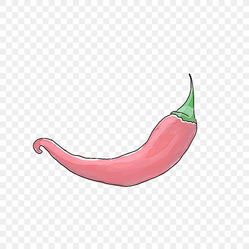 Chili Pepper Nose Plant Lip Mouth, PNG, 1024x1024px, Chili Pepper, Lip, Mouth, Nightshade Family, Nose Download Free