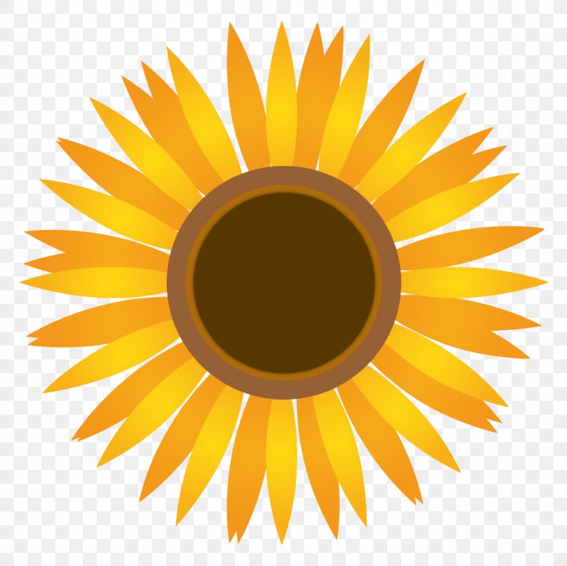 Common Sunflower Clip Art Illustration Summer, PNG, 1181x1181px, Common Sunflower, Cartoon, Close Up, Daisy Family, Drawing Download Free