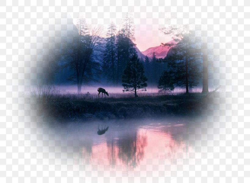 Desktop Wallpaper Deer Landscape Painting Sunset, PNG, 800x600px, Deer, Art, Atmosphere, Calm, Cloud Download Free