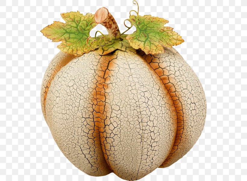 Pumpkin Cucurbita Winter Squash, PNG, 554x600px, Pumpkin, Cartoon, Christmas, Christmas Ornament, Commodity Download Free