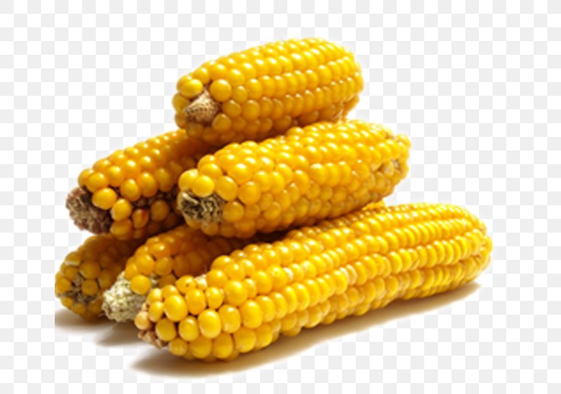 Corn On The Cob Maize Popcorn Kebab Vegetable, PNG, 659x576px, Corn On The Cob, Cereal, Commodity, Corn Kernel, Corn Kernels Download Free