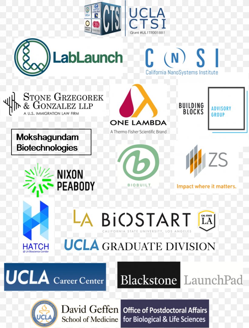 David Geffen School Of Medicine At UCLA Web Page Logo Brand, PNG, 823x1082px, Web Page, Area, Brand, Diagram, Logo Download Free