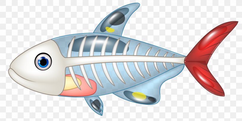 Euclidean Vector Bony Fishes Vecteur, PNG, 4551x2270px, Bony Fishes, Animal, Animal Figure, Bony Fish, Euclidean Space Download Free