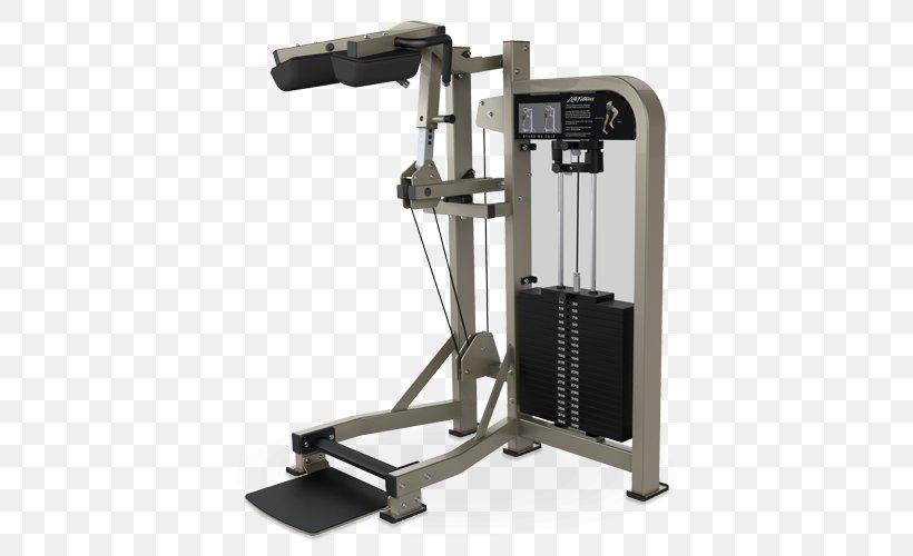 Fitness Centre Physical Fitness Life Fitness Exercise, PNG, 500x500px, Fitness Centre, Calf, Exercise, Exercise Equipment, Exercise Machine Download Free