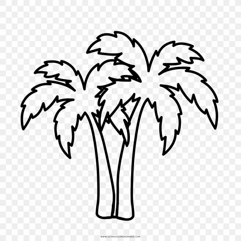 Drawing Coloring Book Arecaceae Line Art Painting, PNG, 1000x1000px, Drawing, Arecaceae, Artwork, Black And White, Branch Download Free