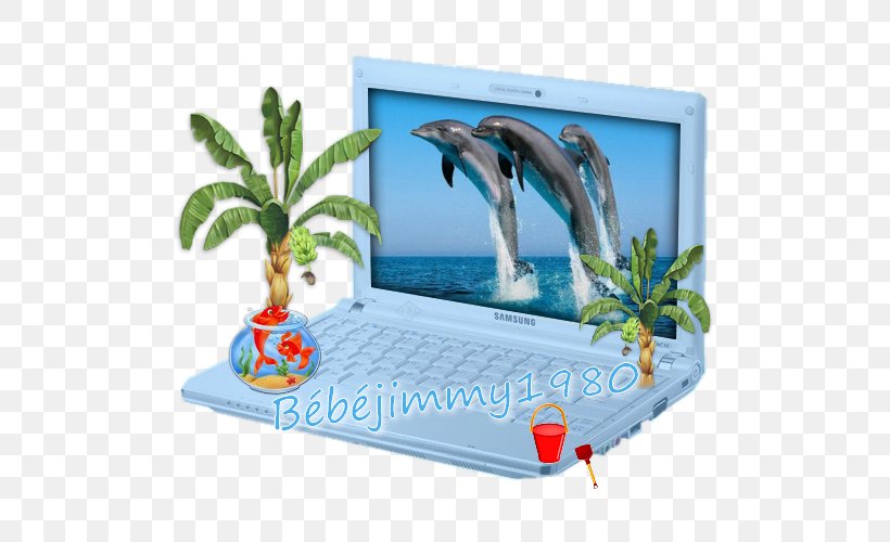 Dubai Dolphinarium Port River Oceanic Dolphin YouTube, PNG, 500x500px, Dolphin, Animal, Baby Dolphin, Beautiful Creatures, Coloring Book Download Free