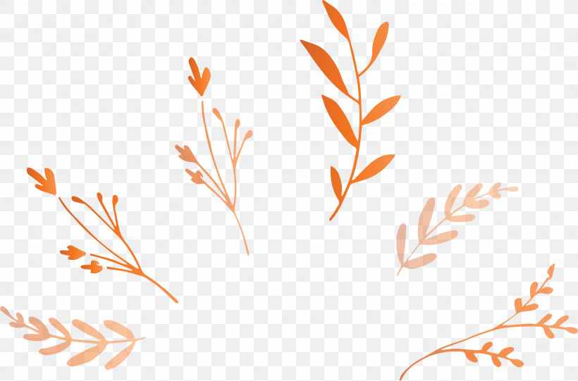 Leaf Branch, PNG, 3000x1982px, Leaf Branch, Biology, Computer, Flower, Grasses Download Free