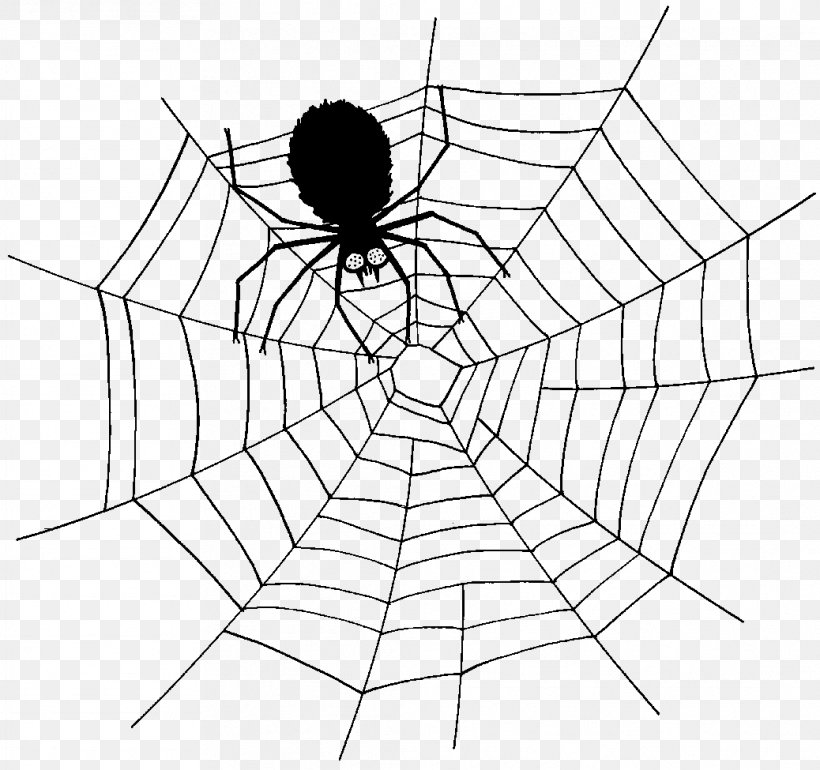 Spider Web Southern Black Widow Clip Art, PNG, 1038x975px, Spider, Animal, Arachnid, Area, Black Download Free