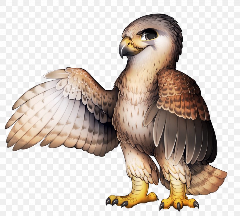 Bird Of Prey Peregrine Falcon, PNG, 2059x1852px, Bird, Accipitriformes, Bald Eagle, Beak, Bird Of Prey Download Free