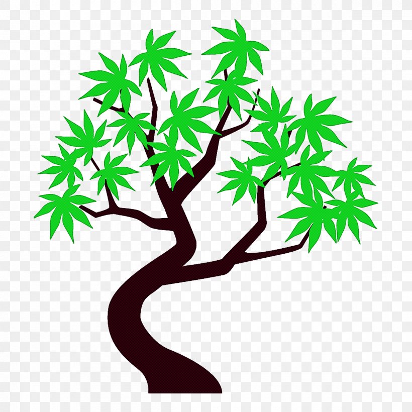 Leaf Tree Green Branch Plant, PNG, 1200x1200px, Leaf, Branch, Green, Plant, Plant Stem Download Free