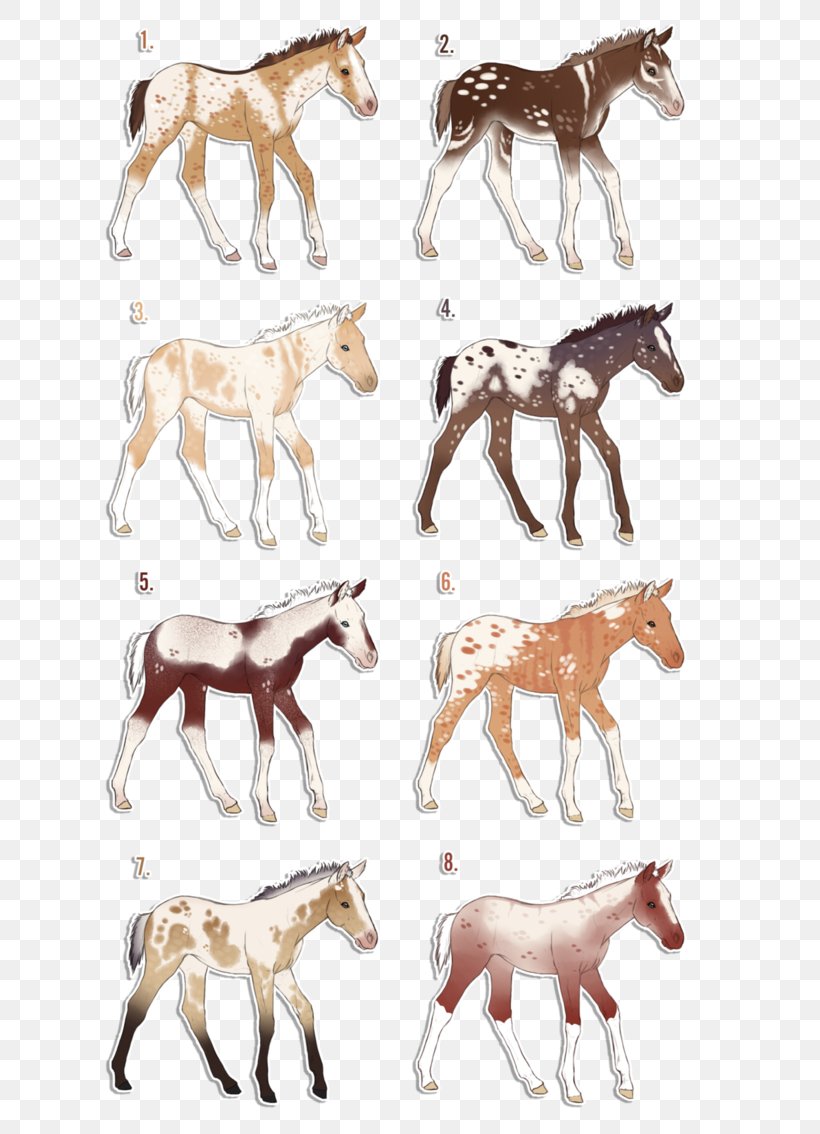 Mustang Pack Animal Freikörperkultur Terrestrial Animal, PNG, 704x1134px, Mustang, Animal, Animal Figure, Fauna, Horse Download Free