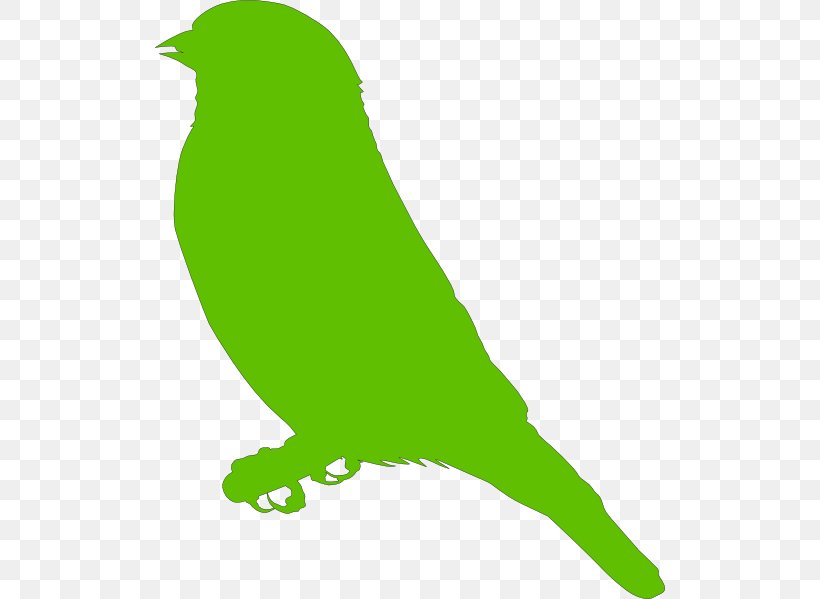 Parrot Bird Drawing Clip Art, PNG, 510x599px, Parrot, Beak, Bird, Black And White, Blog Download Free