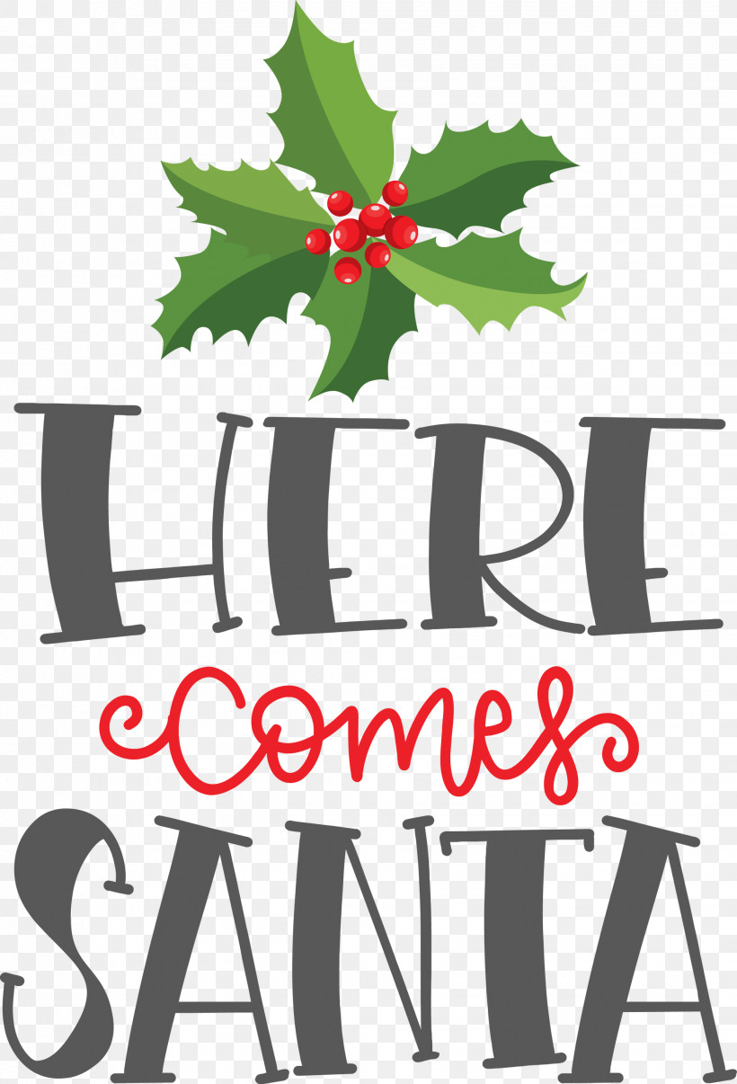 Here Comes Santa Santa Christmas, PNG, 2039x3000px, Here Comes Santa, Branching, Christmas, Flower, Leaf Download Free