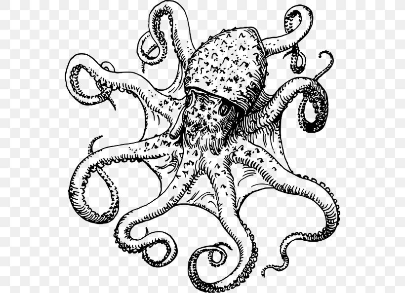 Octopus Drawing Clip Art Image, PNG, 558x594px, Octopus, Cephalopod, Coloring Book, Drawing, Giant Pacific Octopus Download Free