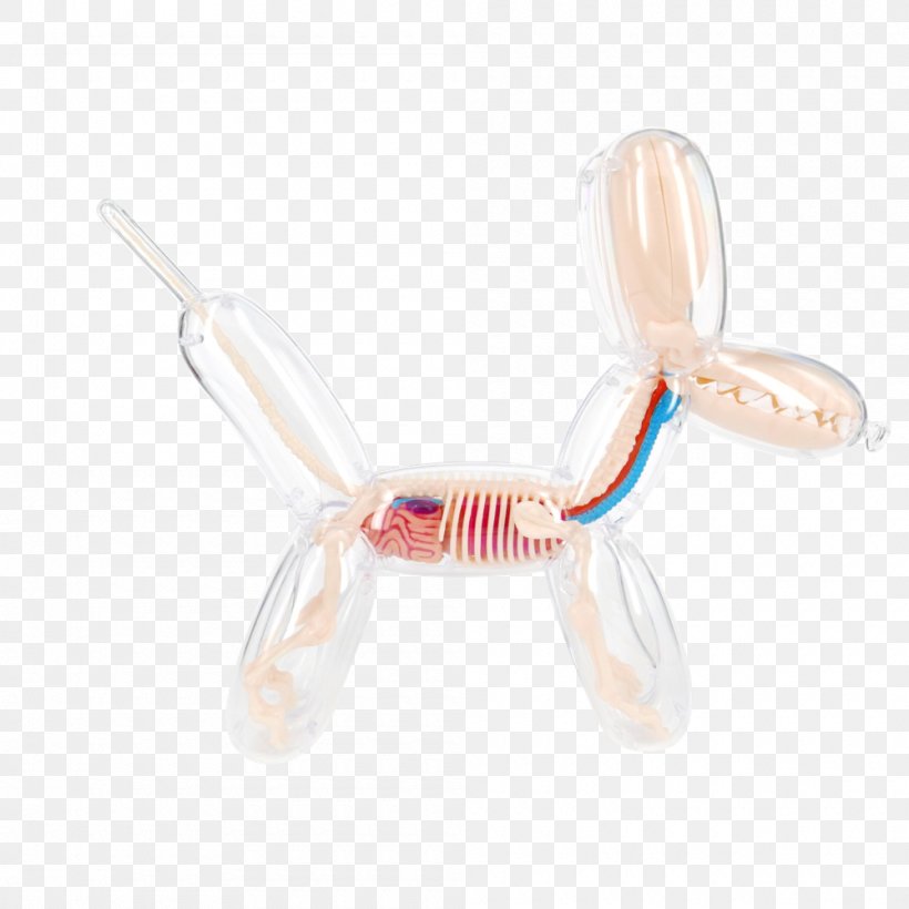Balloon Dog Anatomy Plastic, PNG, 1000x1000px, Balloon Dog, Anatomy, Dog, Jason Freeny, Manufacturing Download Free