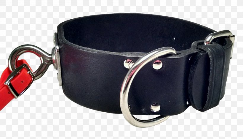 Belt Buckles Dog Collar, PNG, 2016x1152px, Belt Buckles, Belt, Belt Buckle, Buckle, Collar Download Free