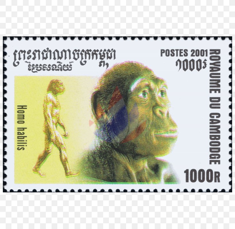 Postage Stamps Animal Religion Mail Disability, PNG, 800x800px, Postage Stamps, Animal, Disability, Fauna, Mail Download Free