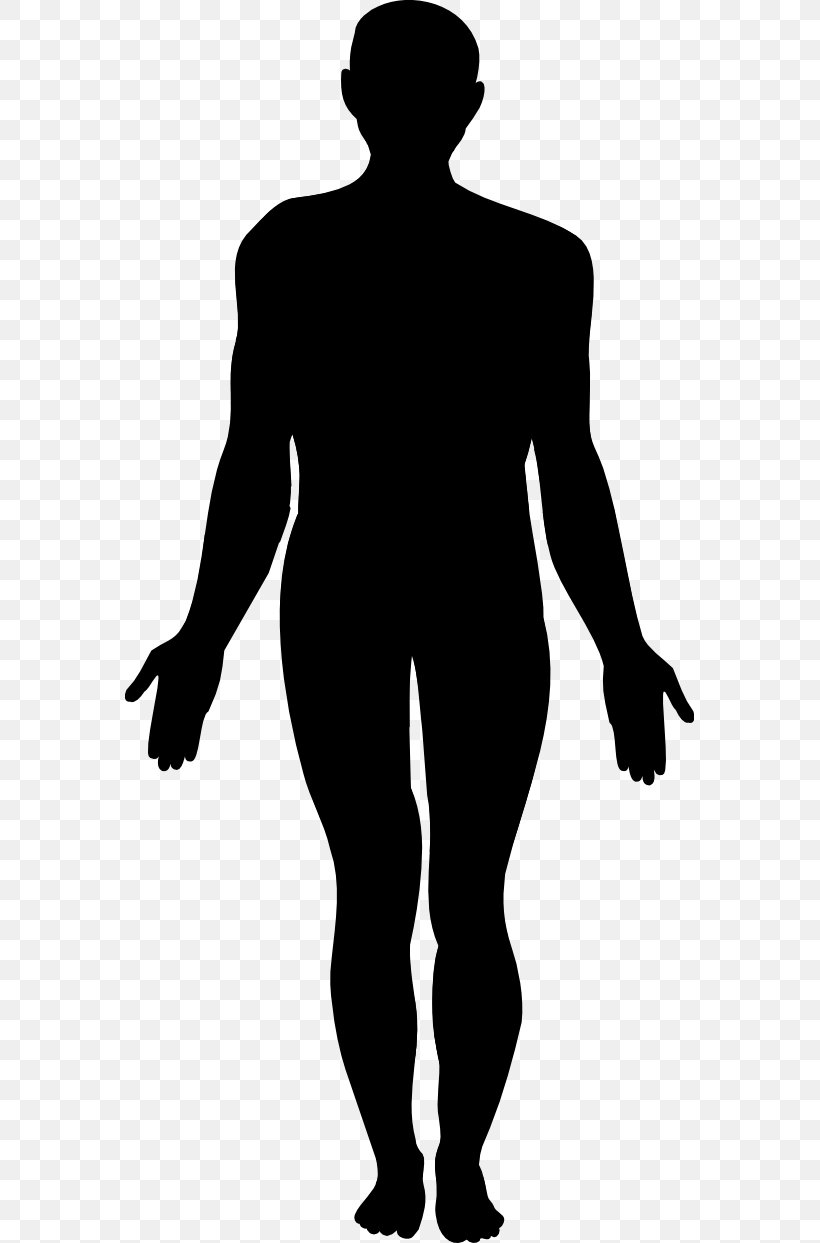 Clip Art Human Behavior Black Silhouette, PNG, 569x1243px, Human, Behavior, Black, Black M, Blackandwhite Download Free