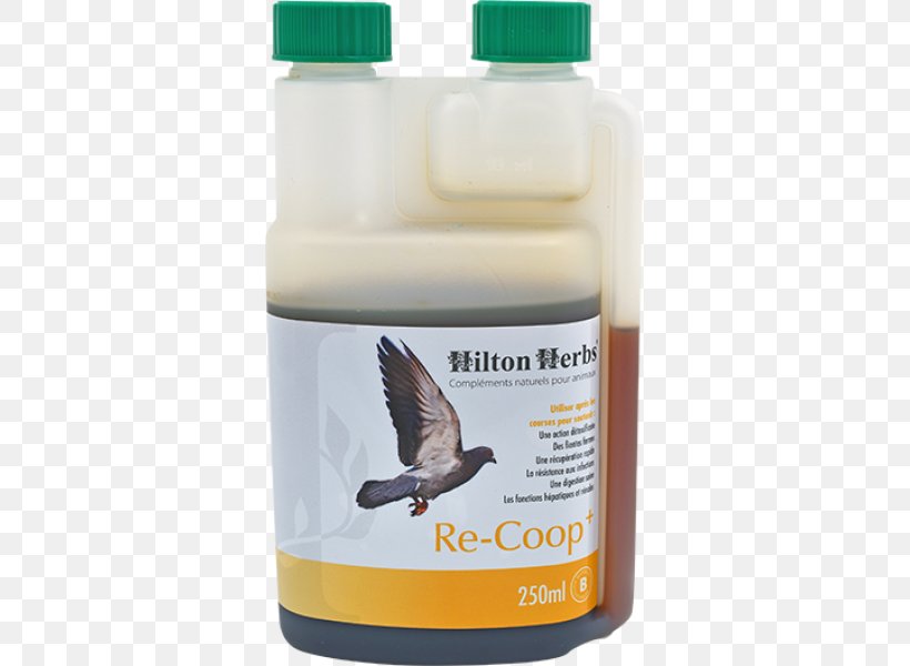 Herb Dietary Supplement Hilton Hotels & Resorts Poultry Bird, PNG, 600x600px, Herb, Bird, Columbidae, Dietary Supplement, Food Download Free
