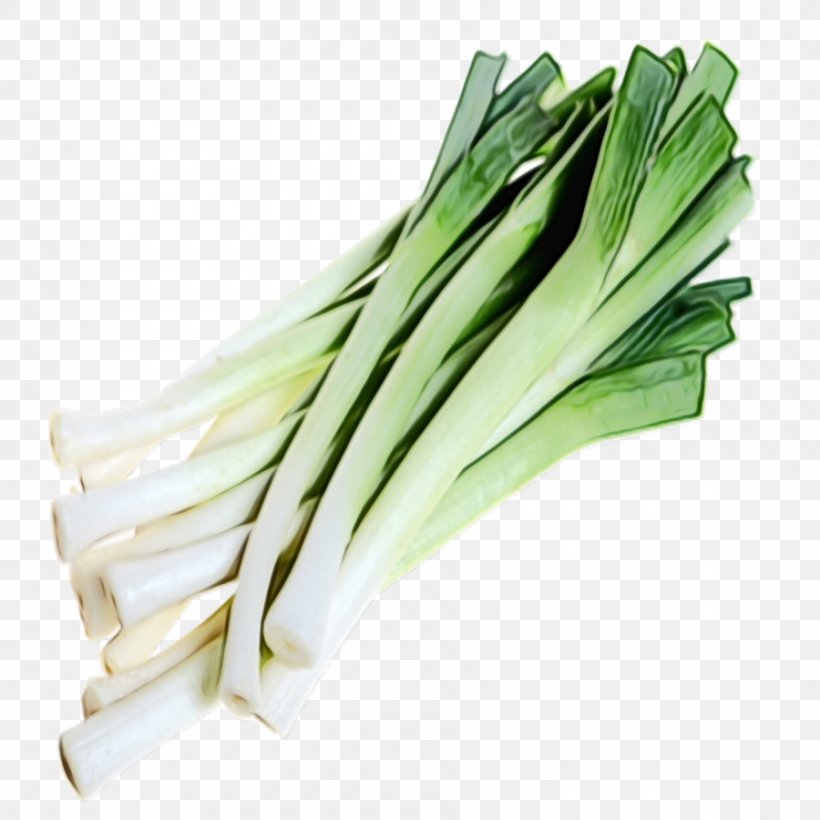 Vegetable Welsh Onion Calçot Leek Food, PNG, 900x900px, Watercolor, Chives, Food, Ingredient, Leek Download Free