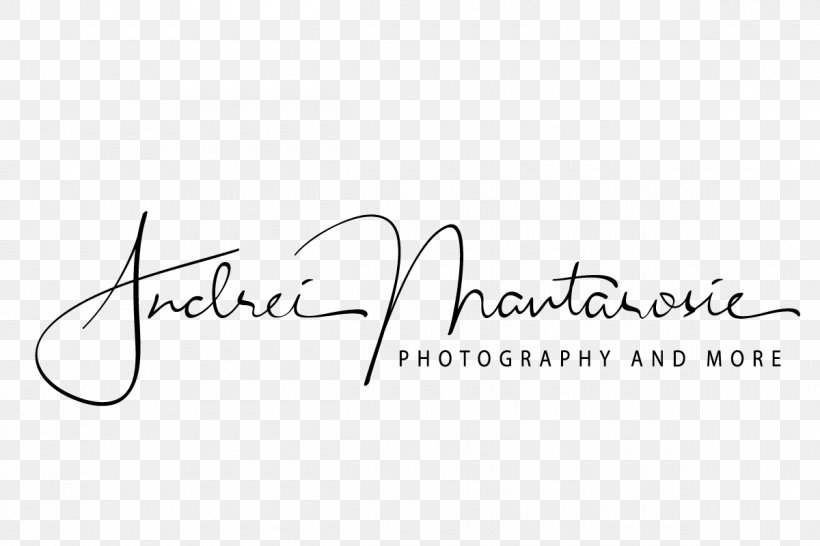 Wedding Photography Photographer Logo, PNG, 1200x800px, Wedding, Album, Area, Artist, Black Download Free