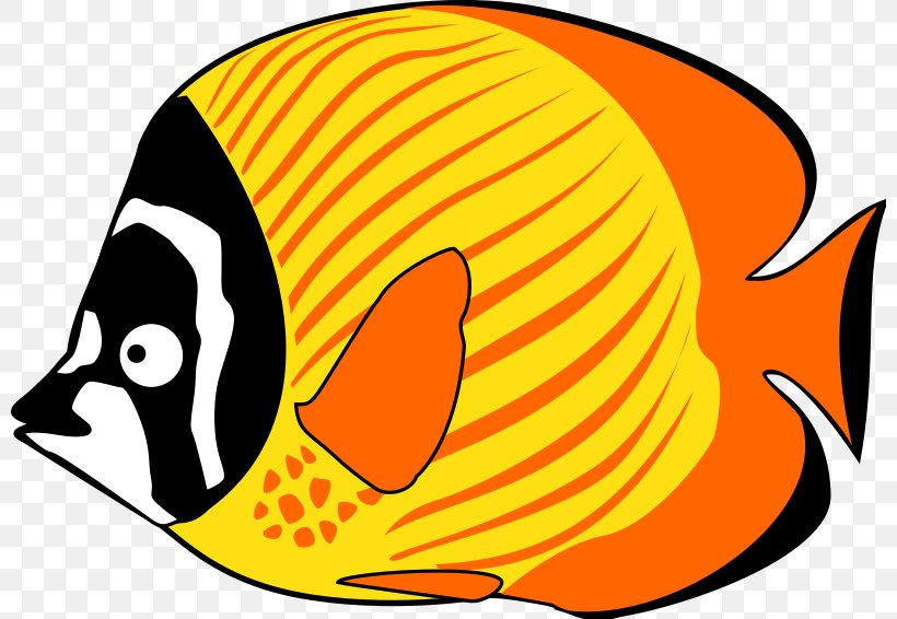 Cartoon Fish Clip Art, PNG, 800x566px, Cartoon, Angelfish, Animation, Beak, Carnivoran Download Free