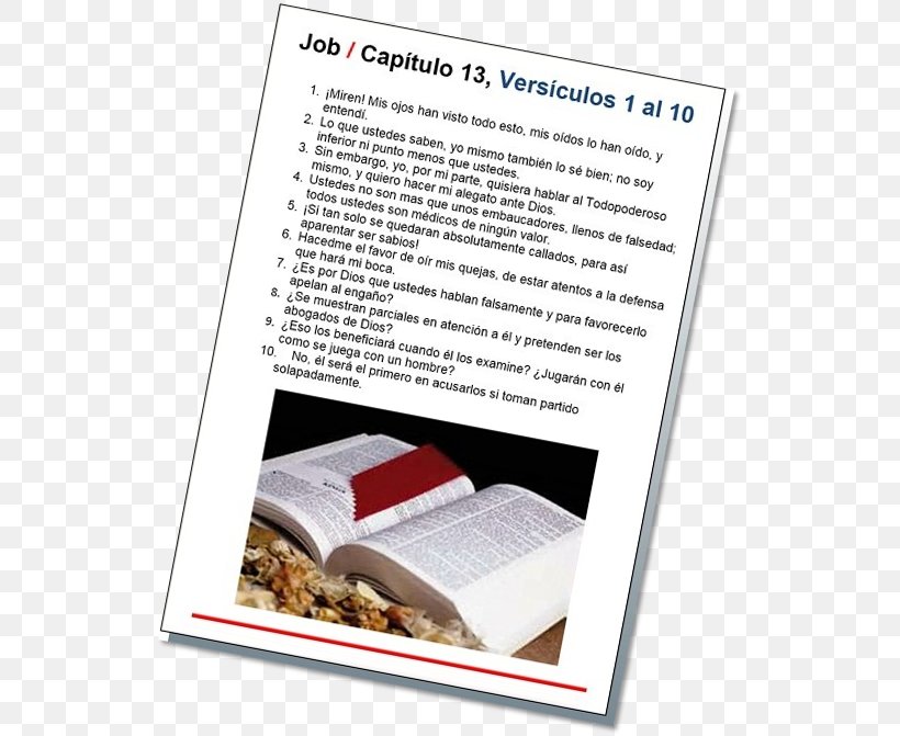 Catholic Bible Psalms The Book Of Job Old Testament, PNG, 537x671px, Bible, Bible Story, Book, Book Of Job, Book Of Proverbs Download Free