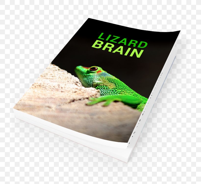 Frog Advertising Brand, PNG, 750x750px, Frog, Advertising, Amphibian, Brand Download Free