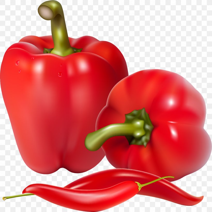 Bell Pepper Chili Pepper Vegetable Food, PNG, 1289x1288px, Bell Pepper, Bell Peppers And Chili Peppers, Capsicum, Capsicum Annuum, Cayenne Pepper Download Free